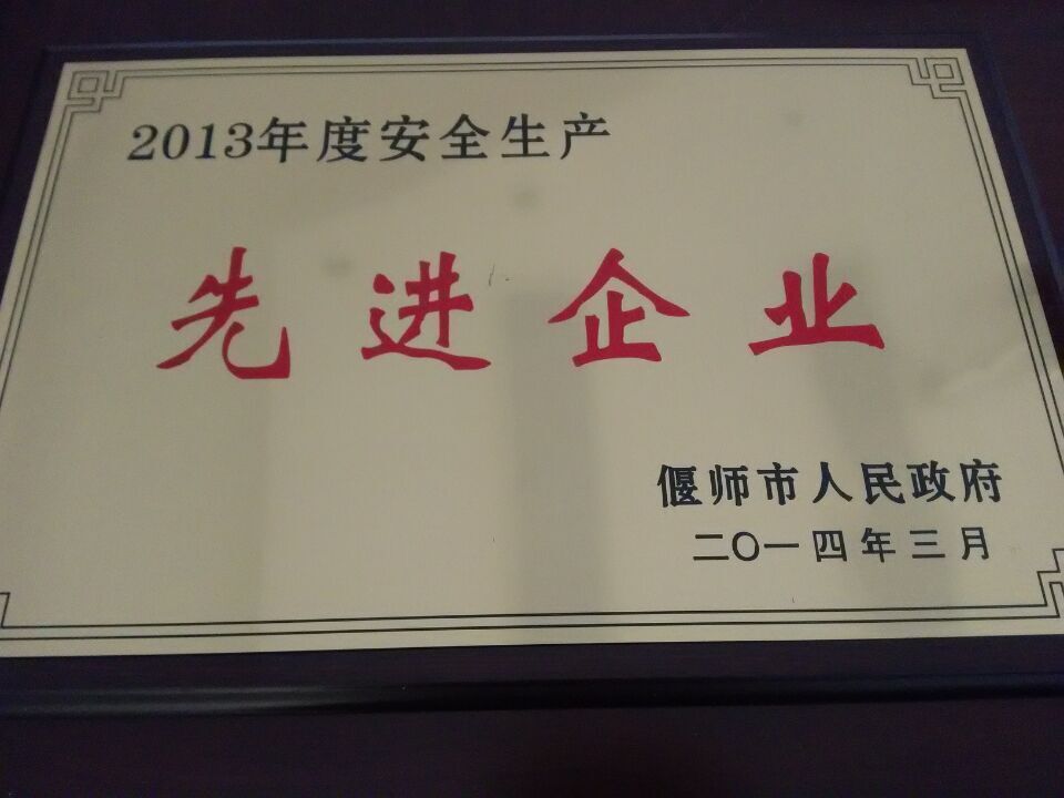 2013年先進企業
